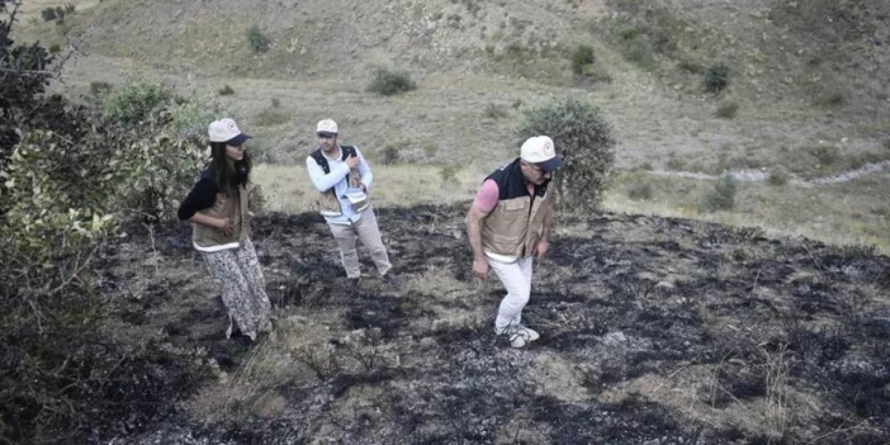 Bayburt'ta mera yangını! 150 dekar alan zarar gördü