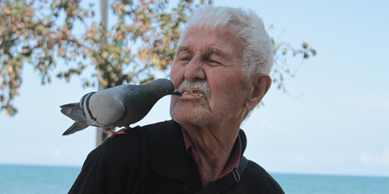 Ordu'da 92 yaşındaki vatandaş ağzıyla günde 500 güvercin besliyor