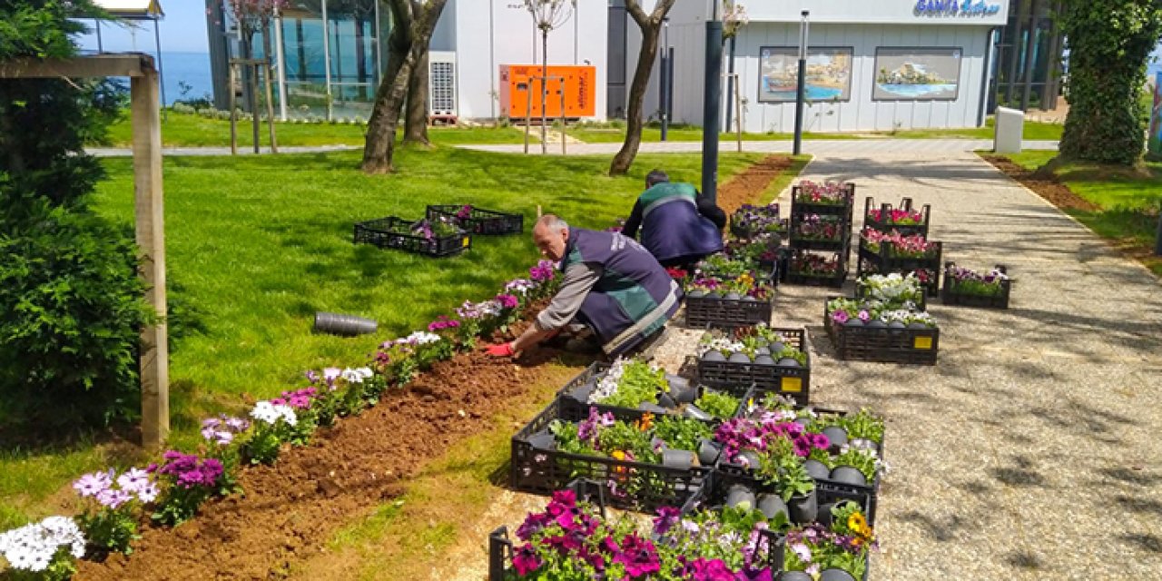 Trabzon'da 804 bin adet çiçek dikildi