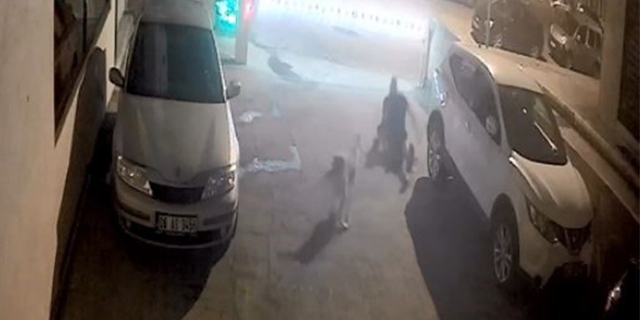 Artvin'de sokak köpeği vatandaşa saldırdı! İşte o anlar
