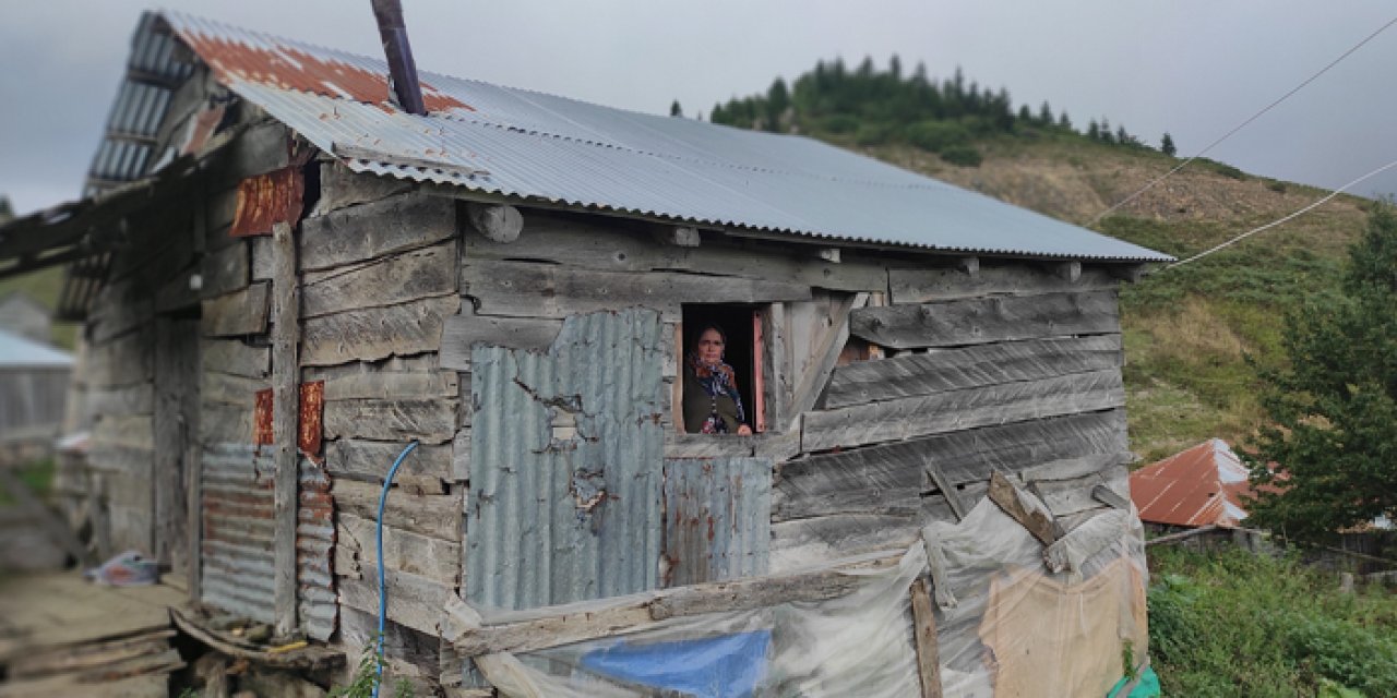Giresun'da Gölyanı Yaylası'nın "hartama" tekniği ile inşa edilen ahşap evleri korunacak