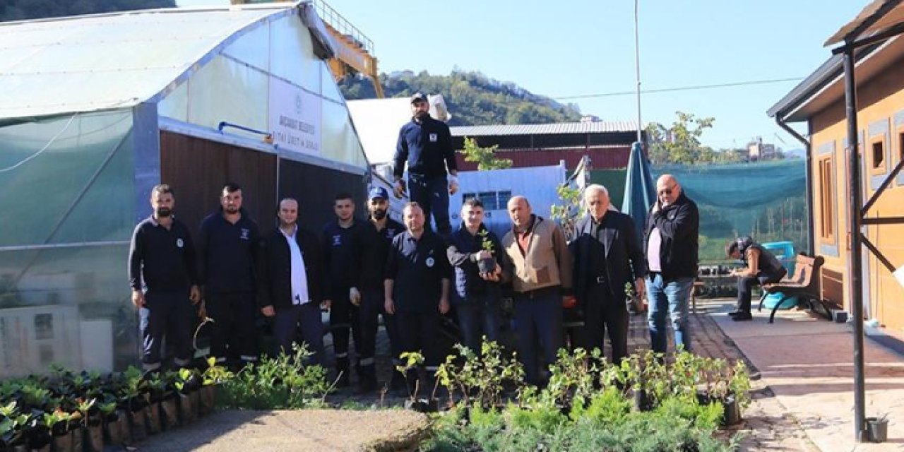 Trabzon'da aronya fideleri çiftçilere dağıtıldı