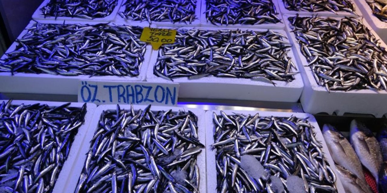 Trabzon'da hamsi bolluğu yaşanıyor! Balıkçılardan vatandaşlara çağrı geldi