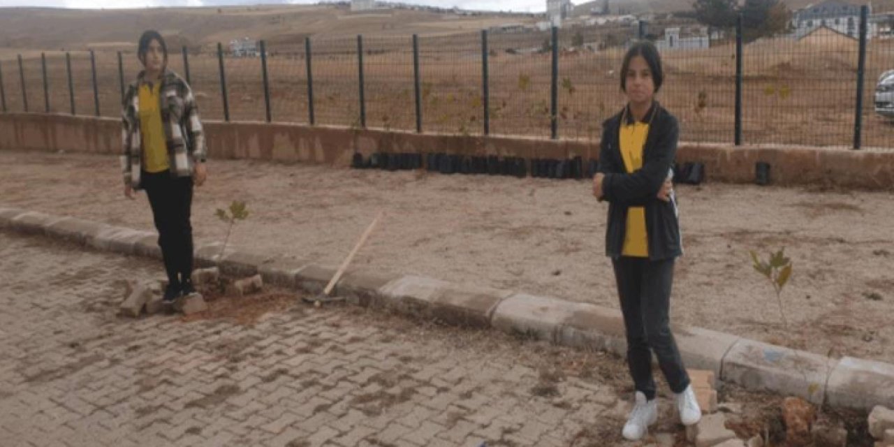 Bayburt'ta öğrenciler 100 çınar ağacı dikti