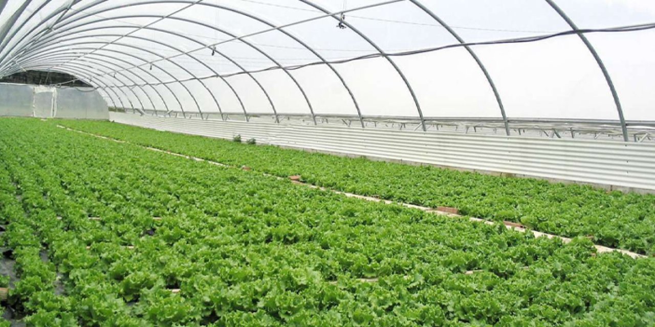 Ortahisar Belediyesi'nde tarım atağı devam ediyor! İki yeni proje onaylandı