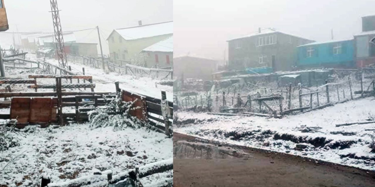 Trabzon'un komşu ilinde yüksek kesimler beyaza büründü