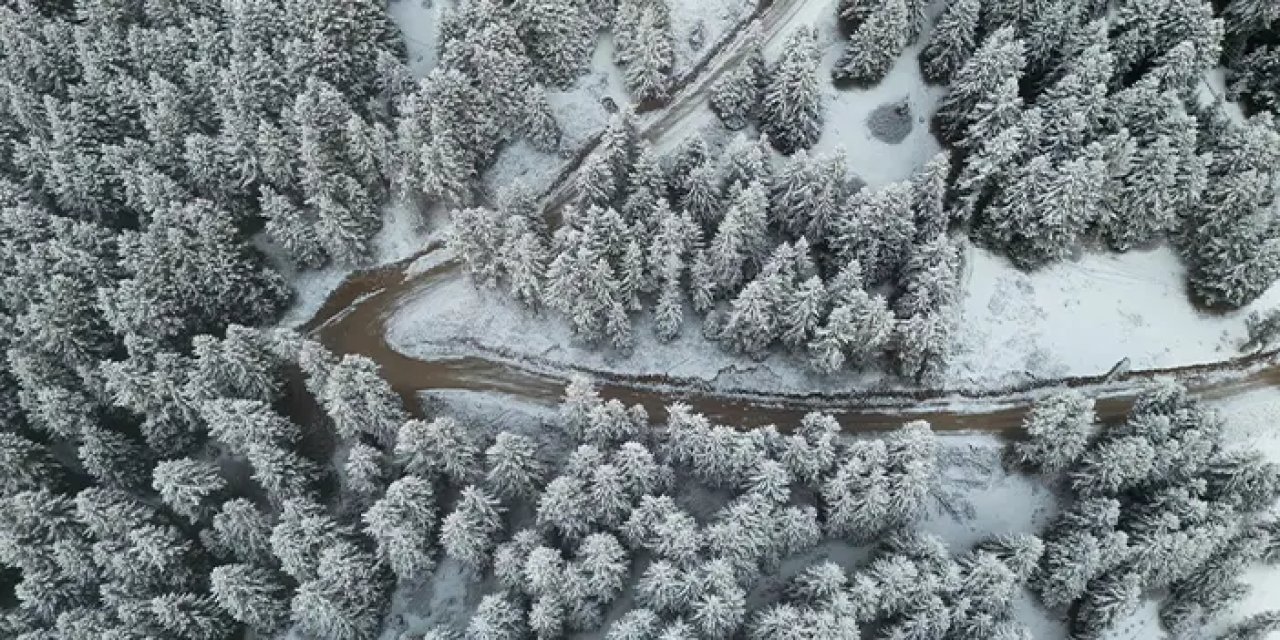 Giresun yaylalarından kartpostallık kar manzaraları