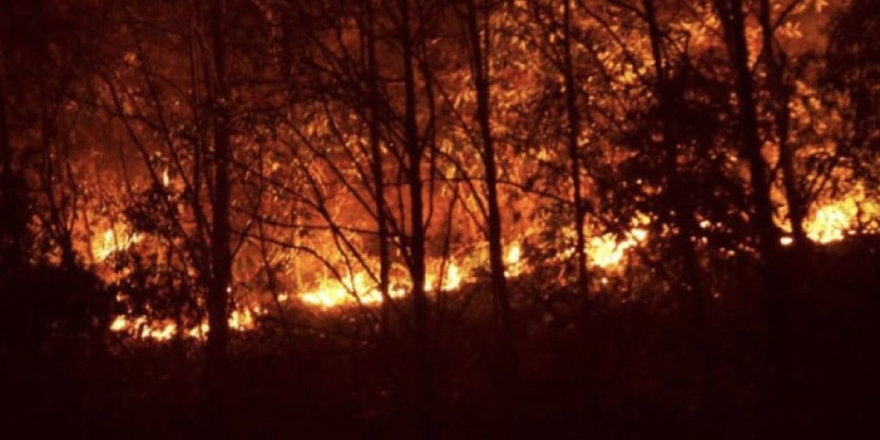 Trabzon Sürmene’de orman yangını! 2 kişi hastaneye kaldırıldı
