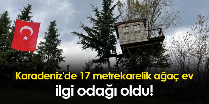 Karadeniz'de 17 metrekarelik ağaç ev ilgi odağı oldu!