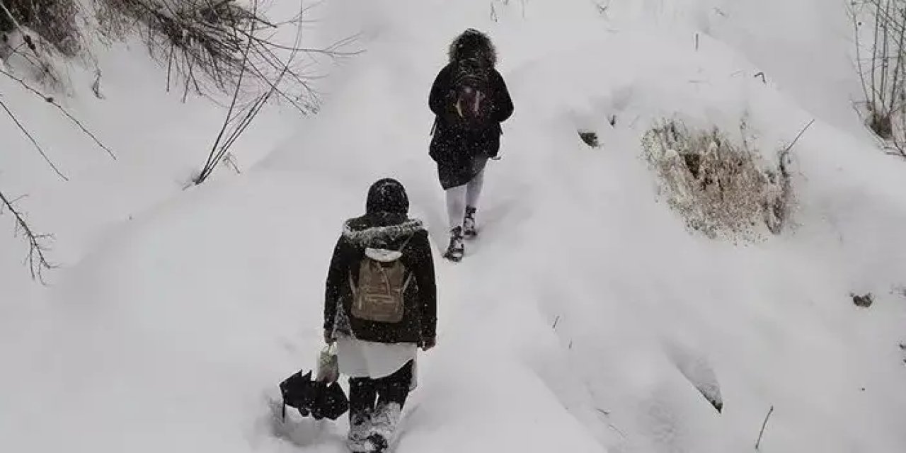 Artvin'de kar yağışı etkili oldu! 5 ilçede okullar tatil