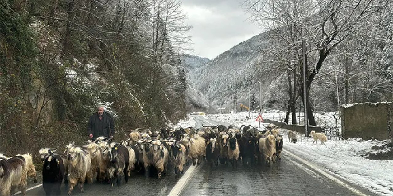Doğu Karadeniz'de kar nedeniyle ulaşıma kapanan köy yollarından 287'si açıldı