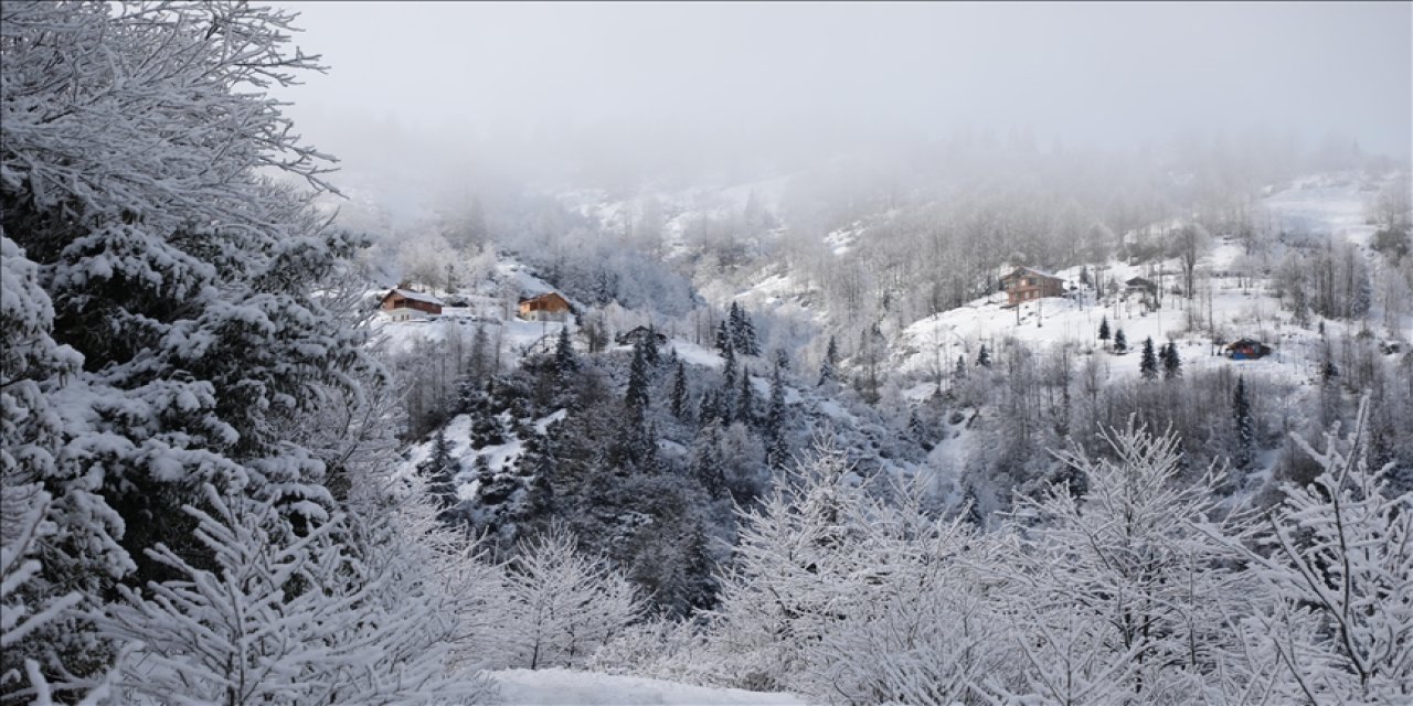 Artvin'de kar engeli! 40 köye ulaşım sağlanamıyor