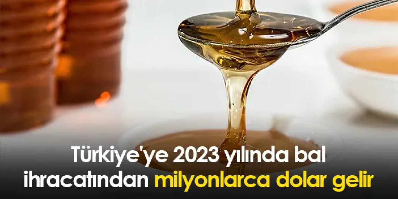 Türkiye'ye 2023 yılında bal ihracatından milyonlarca dolar gelir