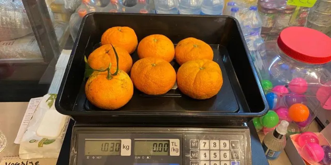 Artvin'de dev mandalinalar üretiliyor! 7 tanesi bir kiloyu buluyor