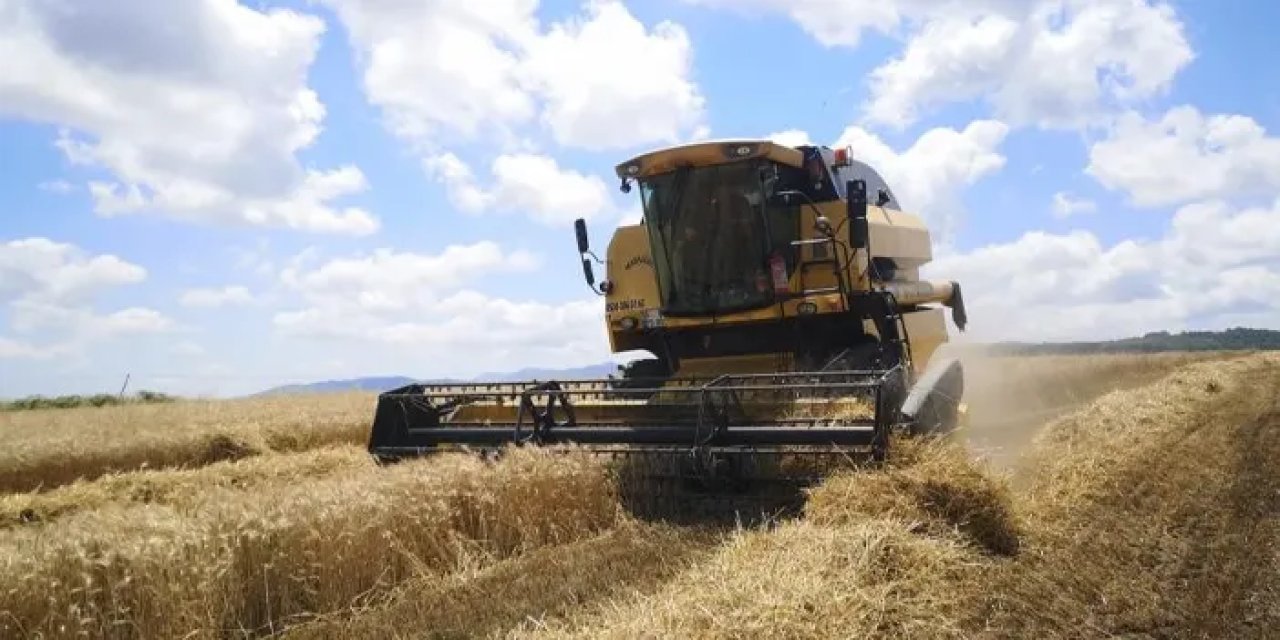 Samsun'dan 2,5 milyon tonluk buğday ithalatı