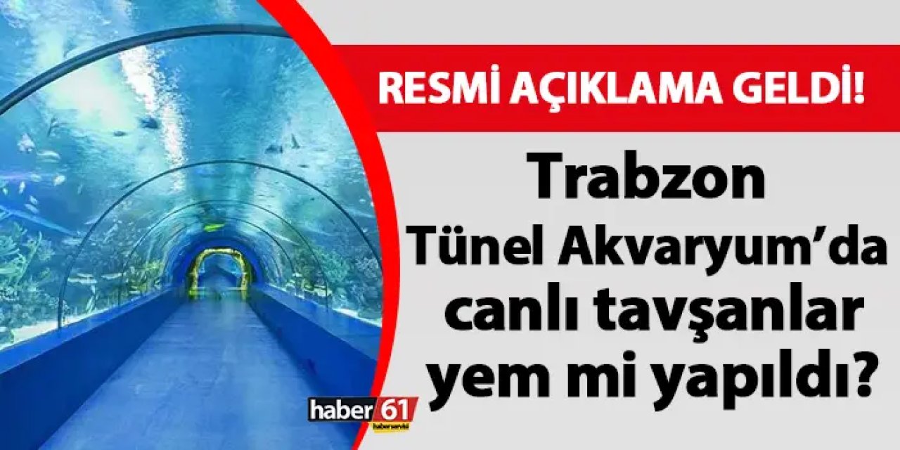 Trabzon Tünel Akvaryum'da canlı tavşanlar yem mi yapıldı? Resmi açıklama geldi