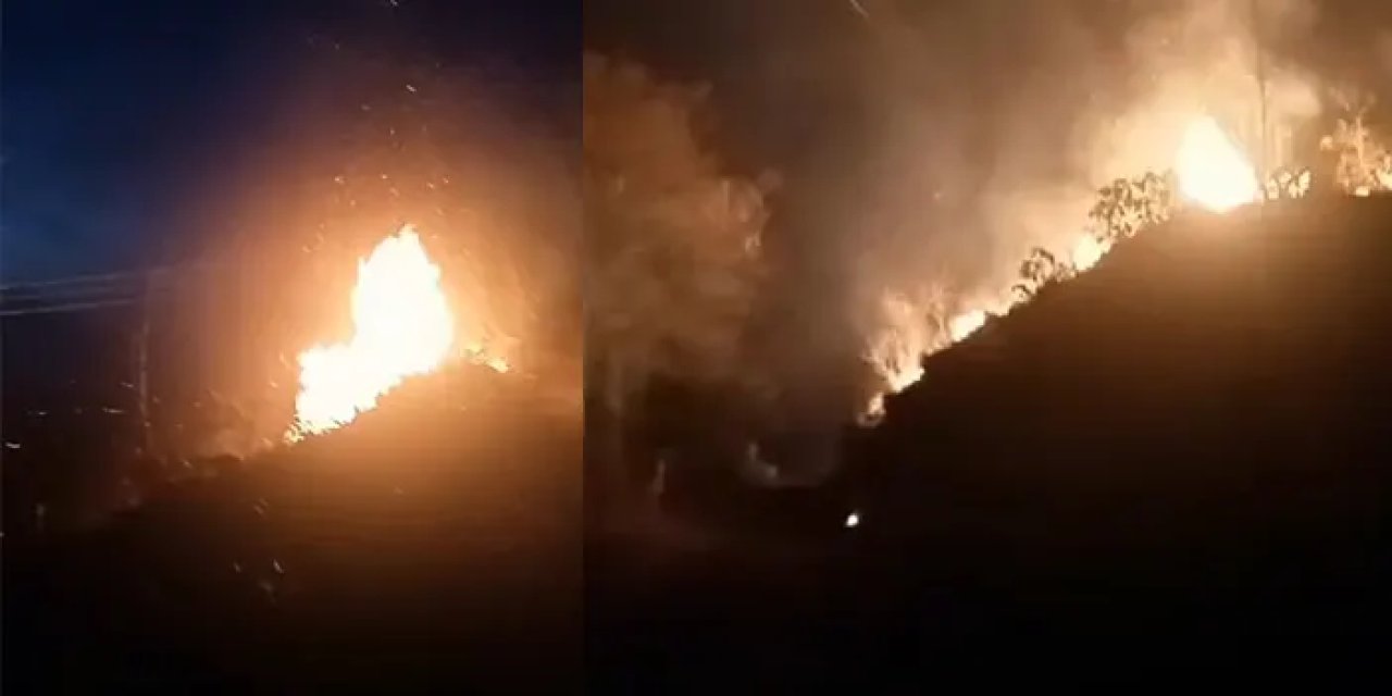 Rize'de orman yangını! 10 dönüm alan yandı