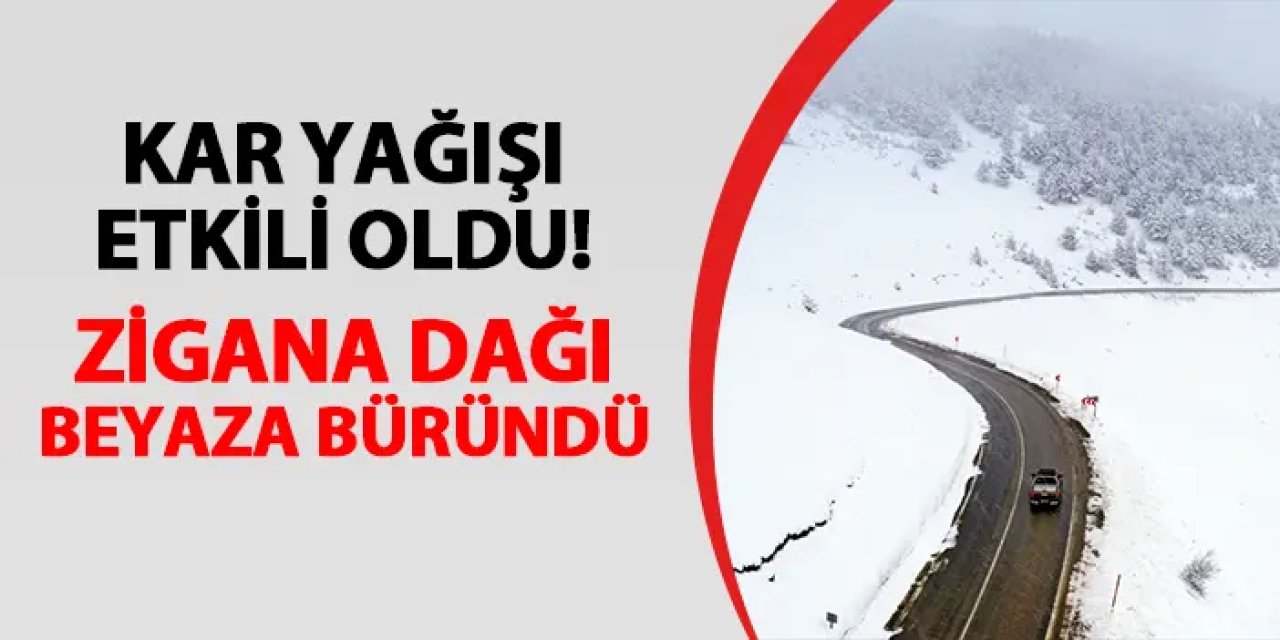 Trabzon-Gümüşhane sınırında kar yağışı etkili oldu! Zigana Dağı beyaza büründü
