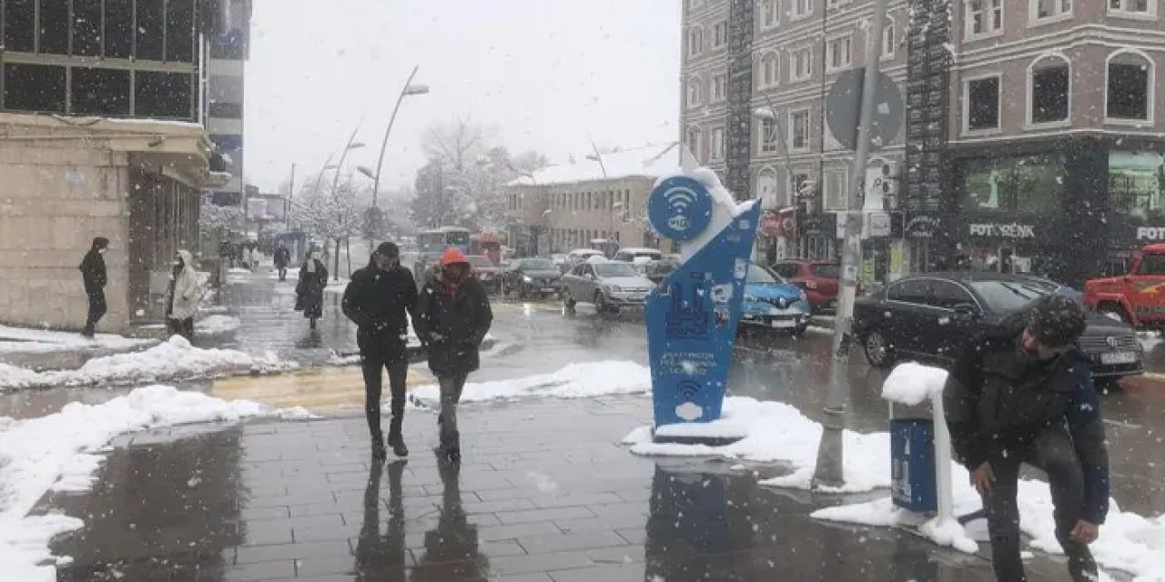 Erzurum'da Mart sonu lapa lapa kar yağdı