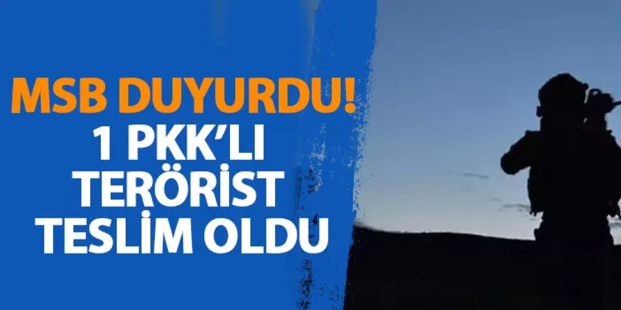 MSB duyurdu! 1 PKK'lı terörist teslim oldu