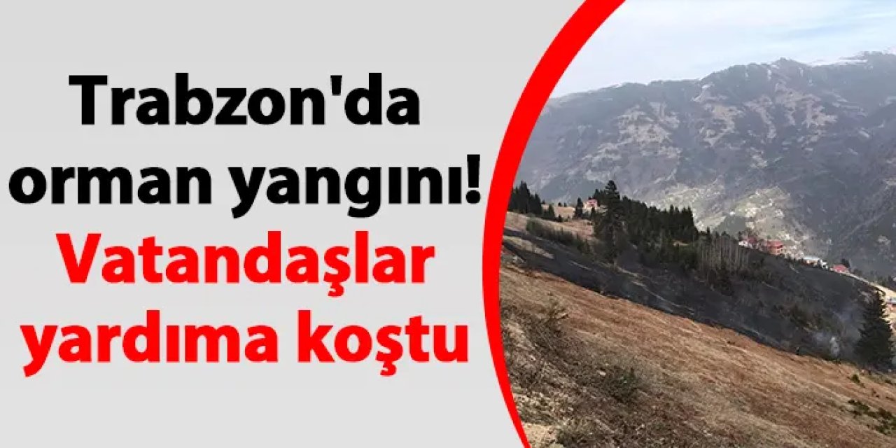 Trabzon'da orman yangını! Vatandaşlar yardıma koştu