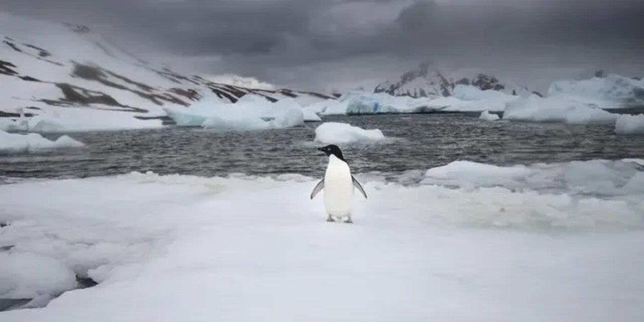 Türkiye'nin Antarktika'daki Çevre Hassasiyeti: Sürdürülebilir Bilim ve Koruma Çalışmaları