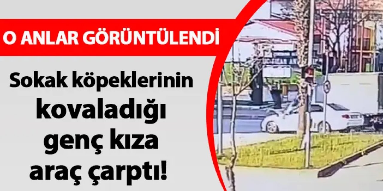 Adana'da sokak köpeklerinin kovaladığı genç kıza araç çarptı!