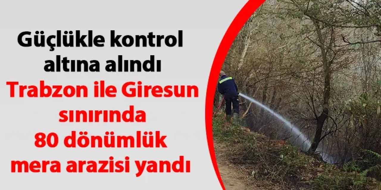 Trabzon ile Giresun sınırında 80 dönümlük mera arazisi yandı