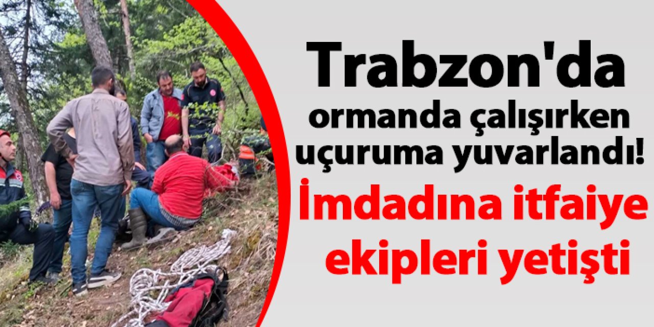 Trabzon'da ormanda çalışırken uçuruma yuvarlandı! İmdadına itfaiye ekipleri yetişti