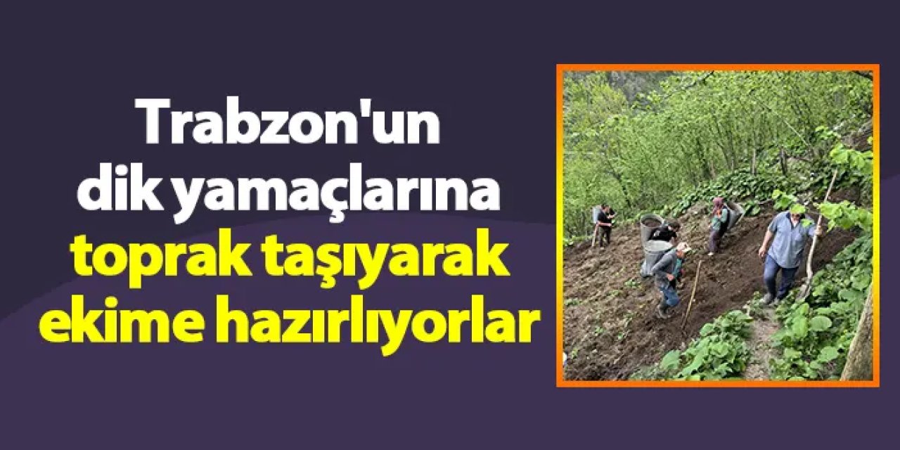 Trabzon'un dik yamaçlarına toprak taşıyarak ekime hazırlıyorlar