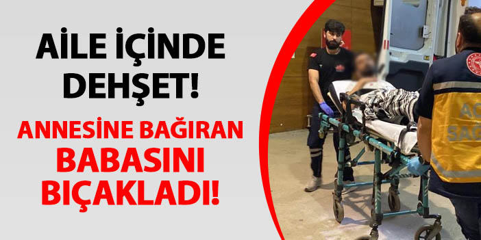 Bursa'da aile içinde dehşet! Annesine bağıran babasını bıçakladı