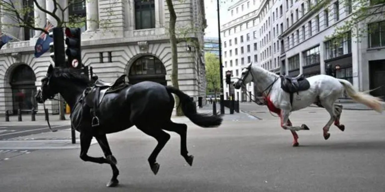İngiltere'de Kraliyet atları ortalığı birbirine kattı! 4 kişi yaralandı
