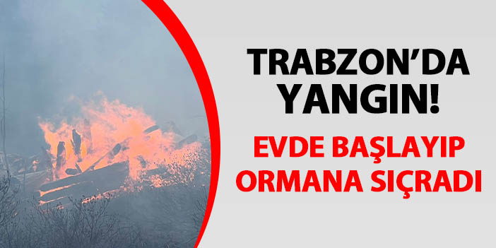 Trabzon'da yangın! Evde başlayıp ormana sıçradı