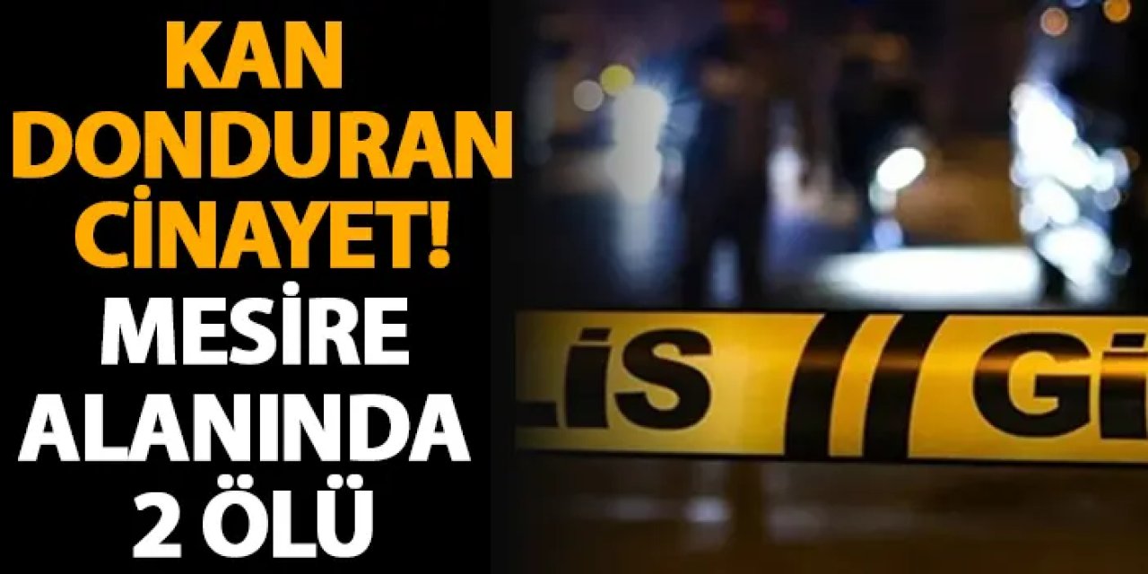 Ankara'da kan donduran cinayet! Mesire alanında 2 ölü