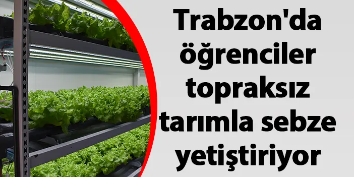 Trabzon'da öğrenciler topraksız tarımla sebze yetiştiriyor