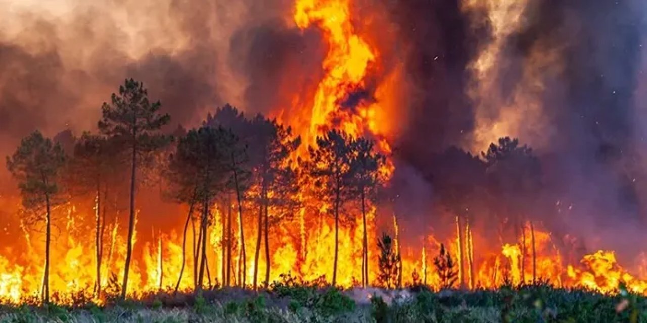 Ordu'da Orman yangınlarıyla mücadele komisyonu toplandı