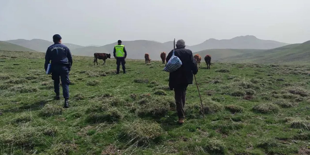 Bayburt'ta kaybolan büyükbaş hayvanlar dron yardımıyla bulundu