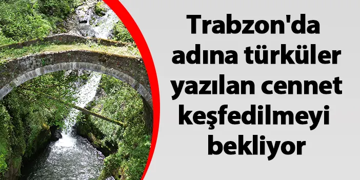 Trabzon'da adına türküler yazılan cennet keşfedilmeyi bekliyor: Ağasar Deresi