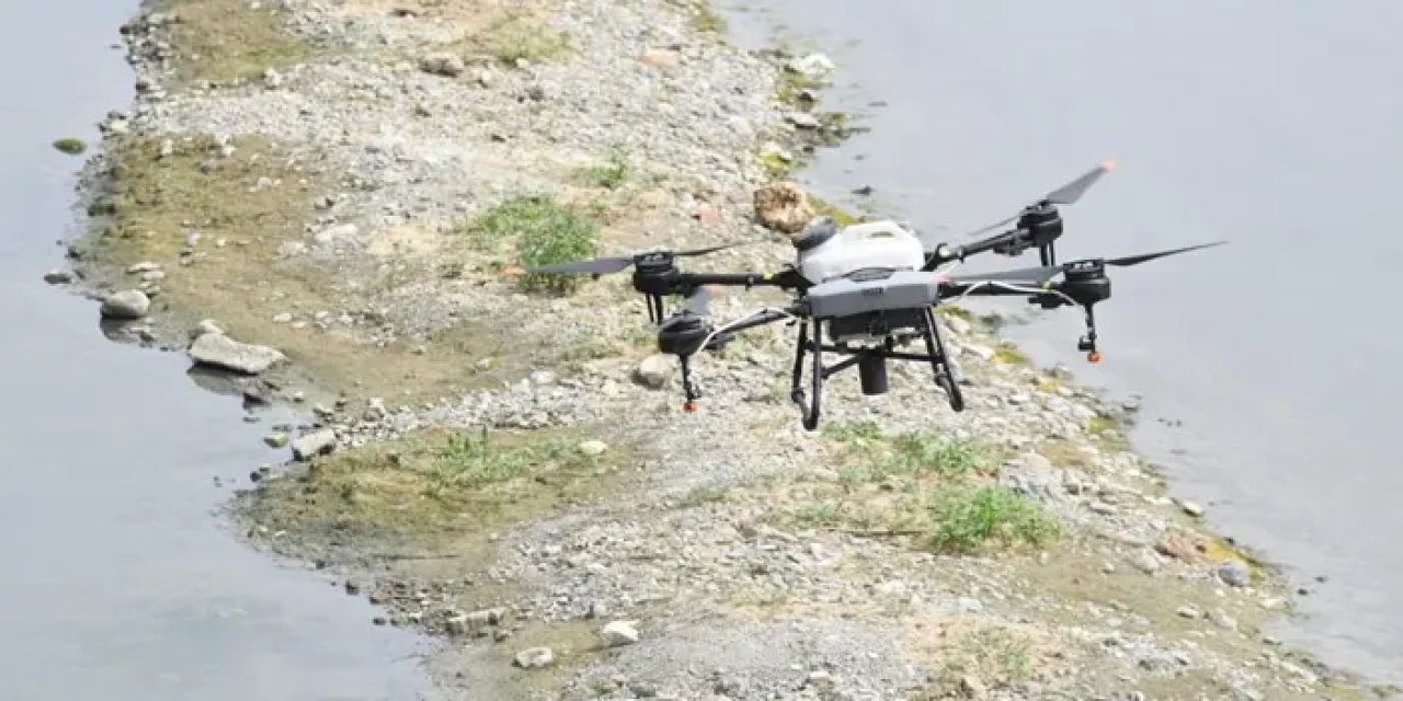 Samsun'da dronla ilaçlama yapıldı!