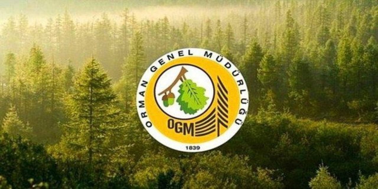 2024 Orman Genel Müdürlüğü OGM personel işçi alımı ne zaman?