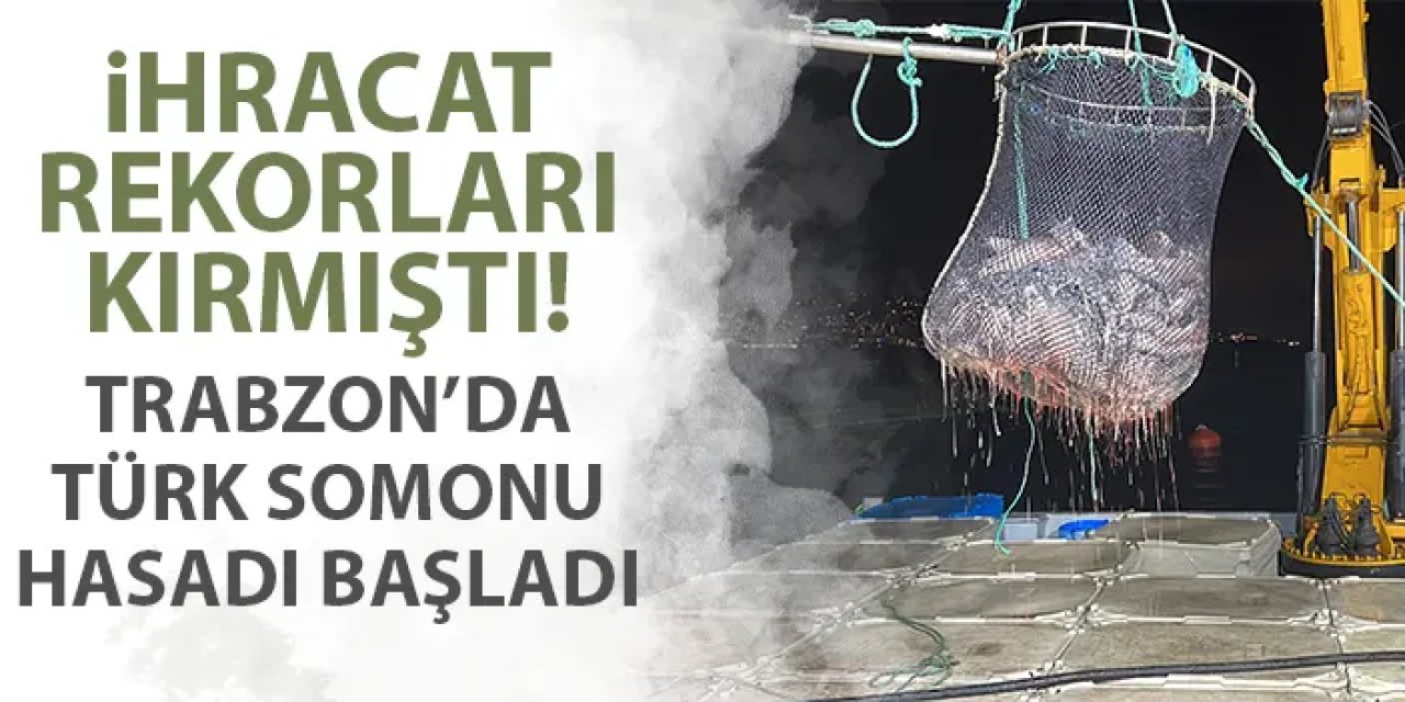 İhracat rekorları kırmıştı! Trabzon'da Türk Somonu hasadı başladı
