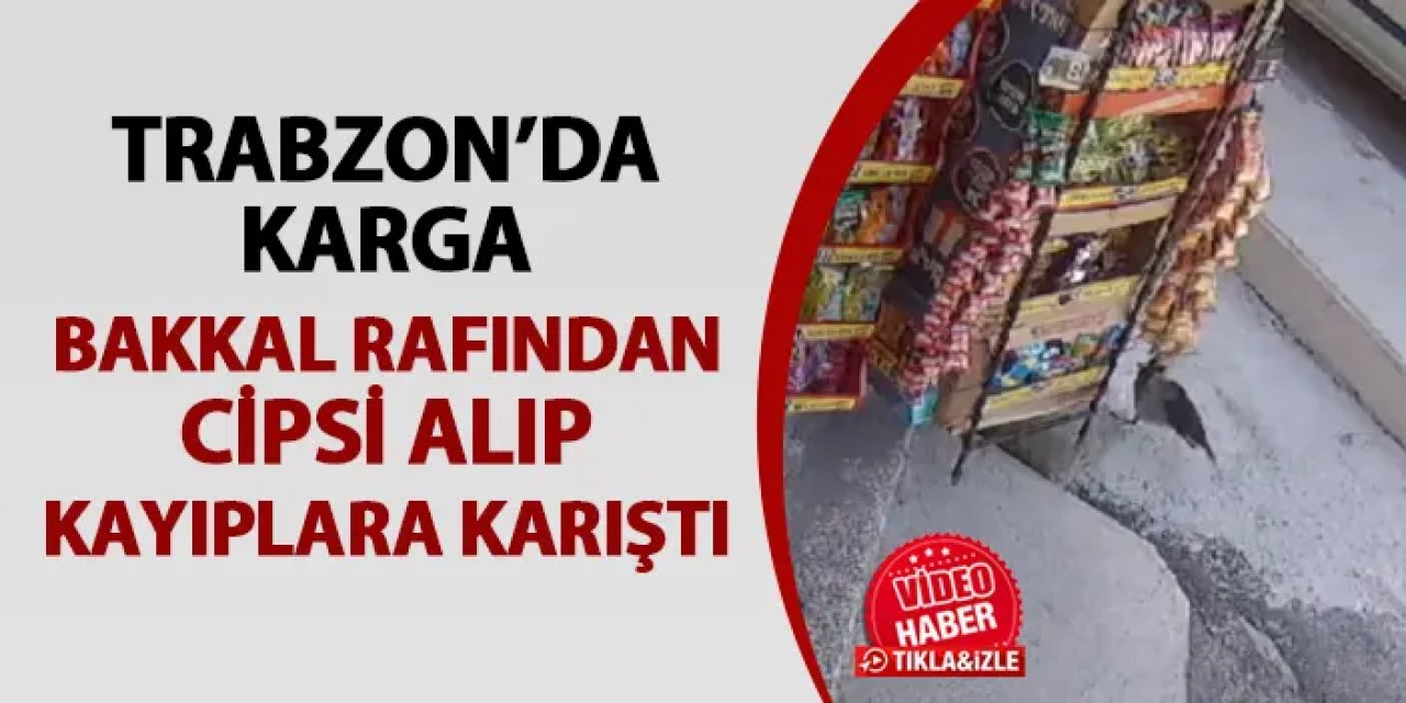 Trabzon'da karga raftan cipsi aldı! Kayıplara katıştı