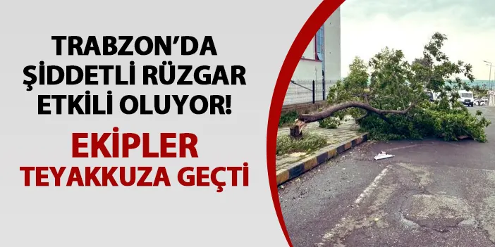 Trabzon'da şiddetli rüzgar! Ekipler teyakkuza geçti