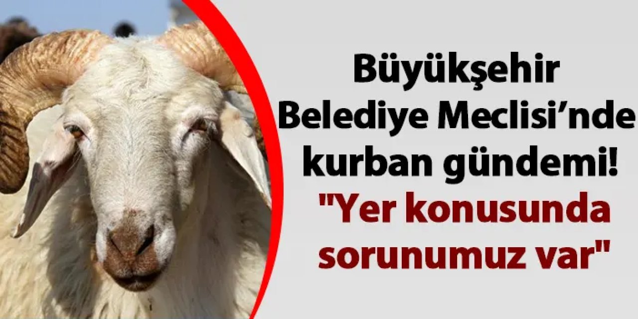 Trabzon Büyükşehir Belediye meclisine kurban gündemi! "Yer konusunda sorunumuz var"