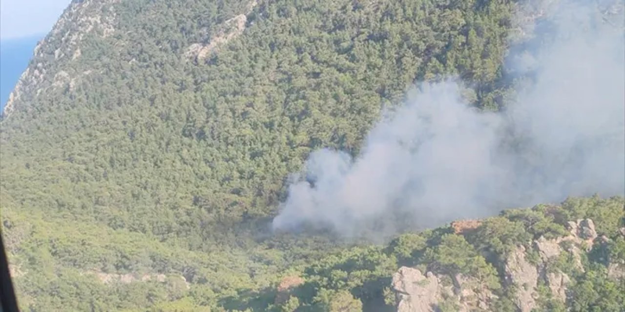 Antalya'da ormanlık alanda yangın! Müdahale sürüyor