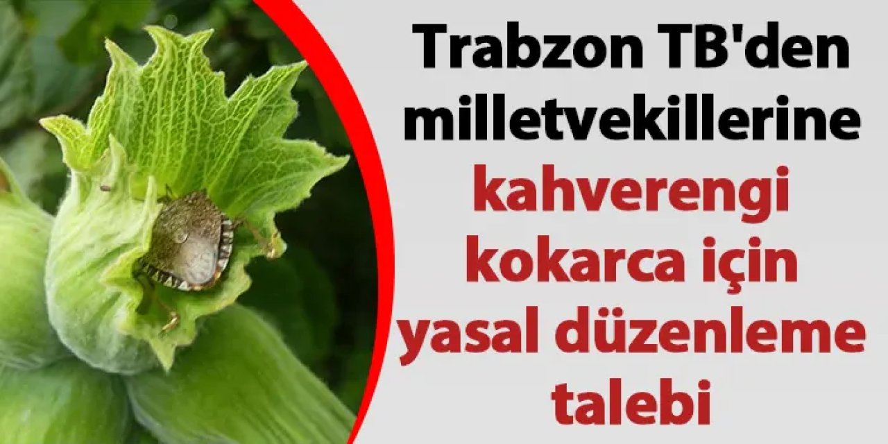 Trabzon TB'den milletvekillerine kahverengi kokarca için yasal düzenleme talebi