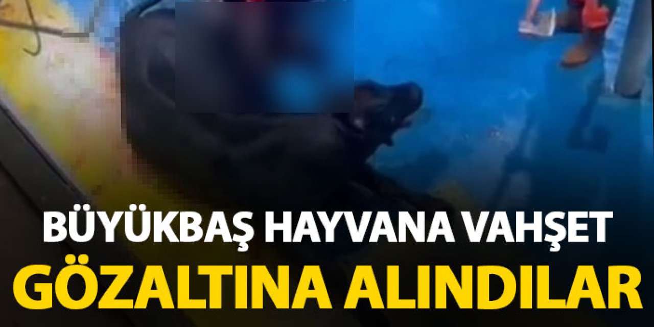 Amasya'da büyükbaş hayvana vahşet! Baltayla defalarca başına vurdular