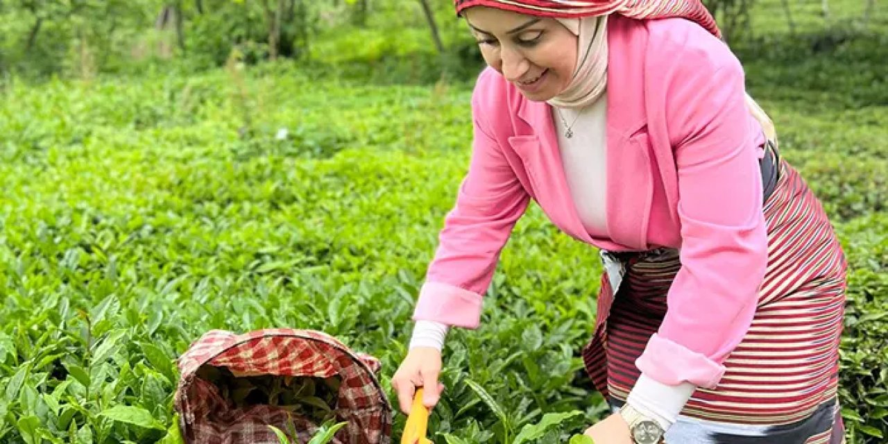 AK Parti Trabzon İl Kadın Kolları Başkanı Ayfer Cihan çay bahçesine girdi