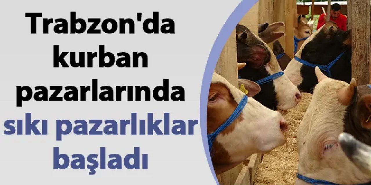 Trabzon'da kurban pazarlarında sıkı pazarlıklar başladı