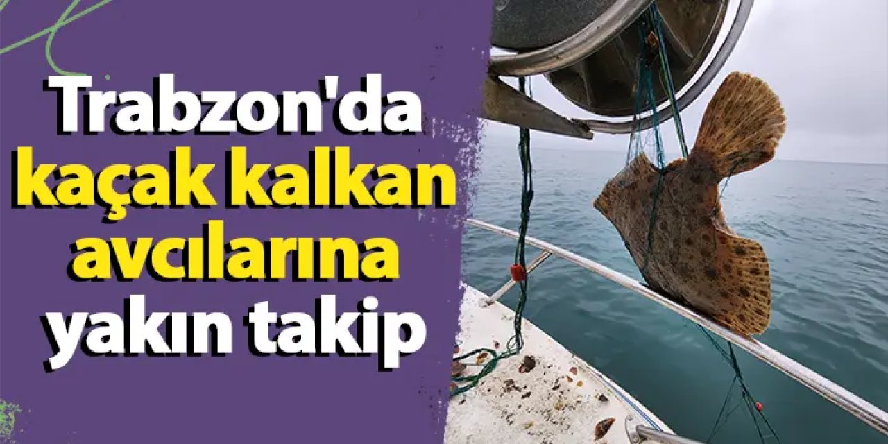Trabzon'da kaçak kalkan avcılarına yakın takip